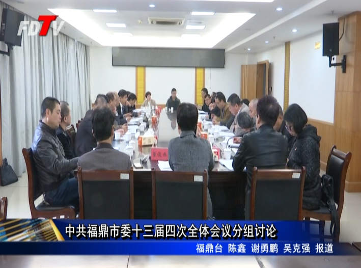 中共福鼎市委十三屆四次全體會議分組討論