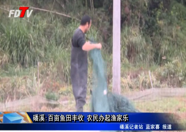 磻溪:百畝魚田豐收 農民辦起漁家樂