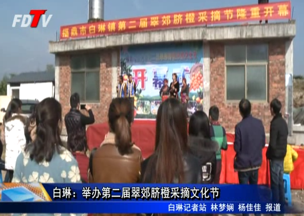 白琳：舉辦第二屆翠郊臍橙采摘文化節