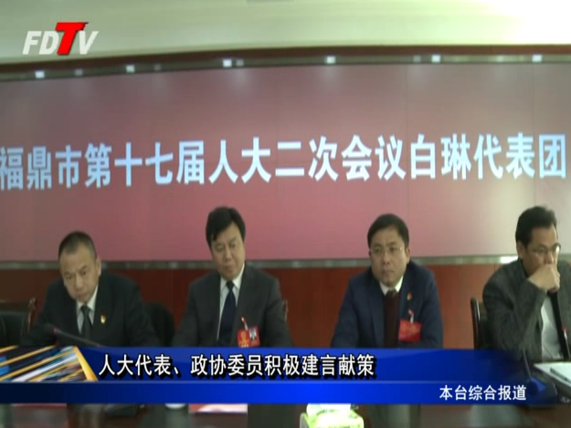 人大代表、政協委員積極建言獻策