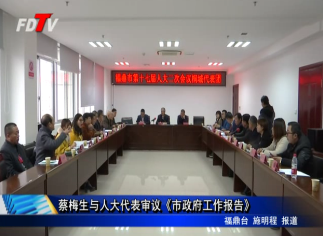 蔡梅生與人大代表審議《市政府工作報告》