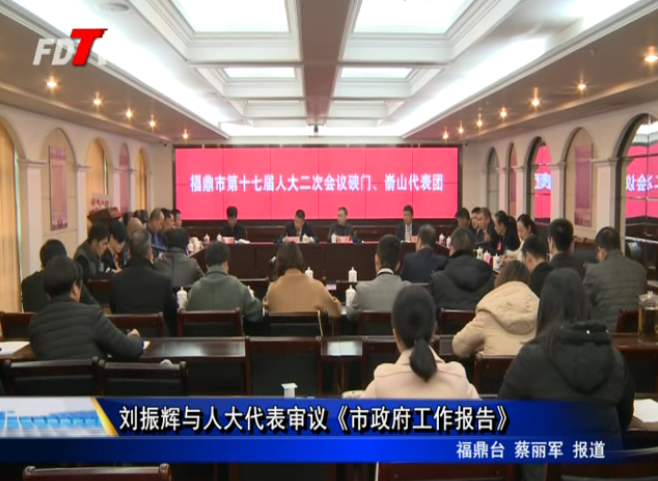 劉振輝與人大代表審議《市政府工作報告》