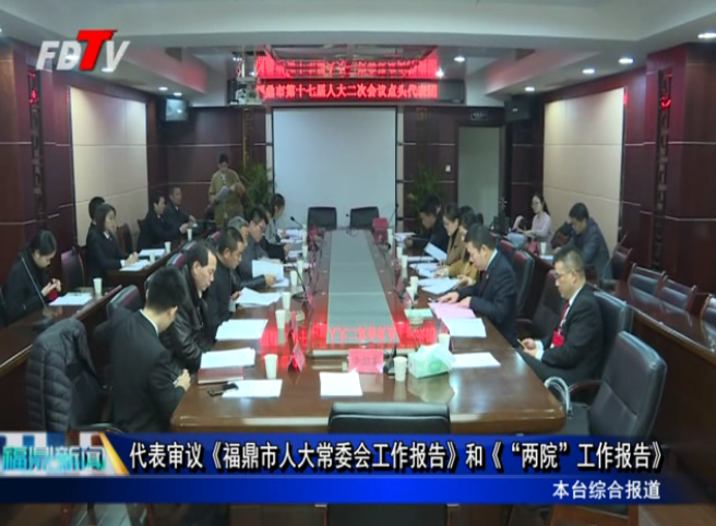 代表審議《福鼎市人大常委會工作報告》和《“兩院”工作報告》
