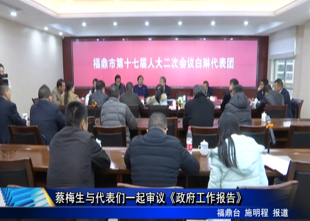蔡梅生與代表們一起審議《政府工作報告》