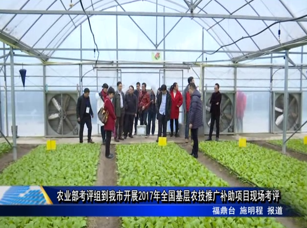 農(nóng)業(yè)部考評組到我市開展2017年全國基層農(nóng)技推廣補助項目現(xiàn)場考評