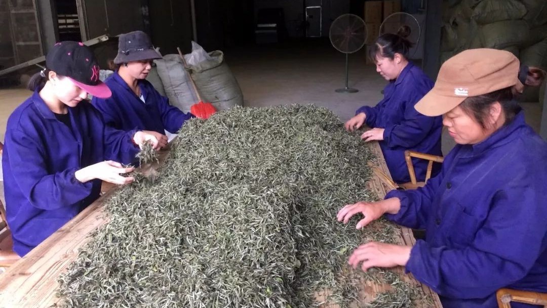 你溫柔了時光，我為你留住歲月，“幸福工程”助力貧困計生戶