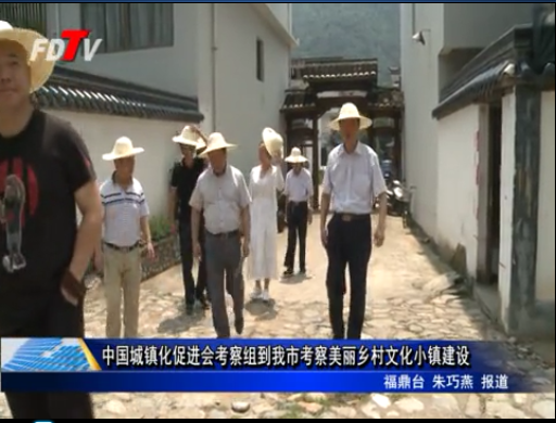 中國城鎮(zhèn)化促進(jìn)會考察組到我市考察美麗鄉(xiāng)村文化小鎮(zhèn)建設(shè)
