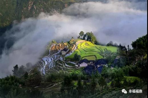 預(yù)告| 《鄉(xiāng)愁·茶鄉(xiāng)行》，帶你走進(jìn)茶香里的福鼎