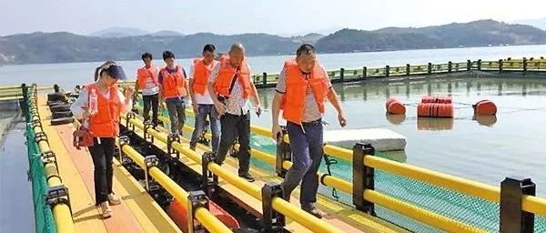 國慶堅守一線，福鼎全力推進海上養殖綜合整治
