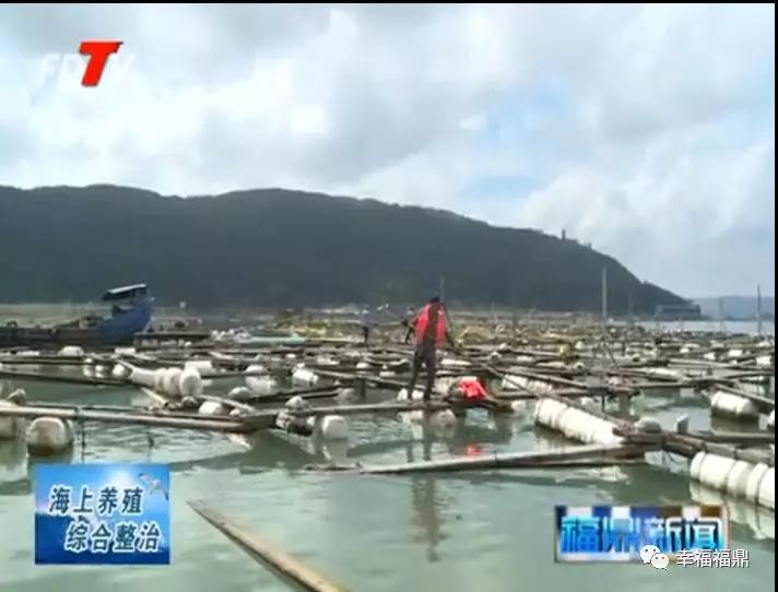 凝聚共識，重拳出擊，佳陽按下海上綜合整治加速鍵