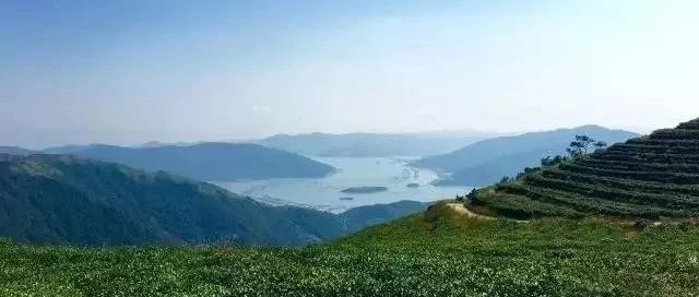 生態佳陽，靜好歲月，這個村約嗎？