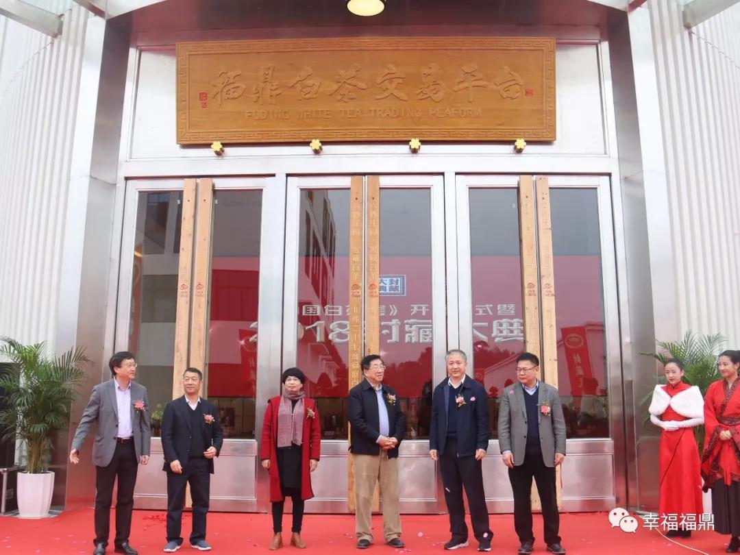 今天，福鼎白茶來了一場現場“大封印”