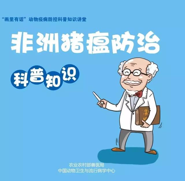 科普知識(shí)：非洲豬瘟，傳豬不傳人！