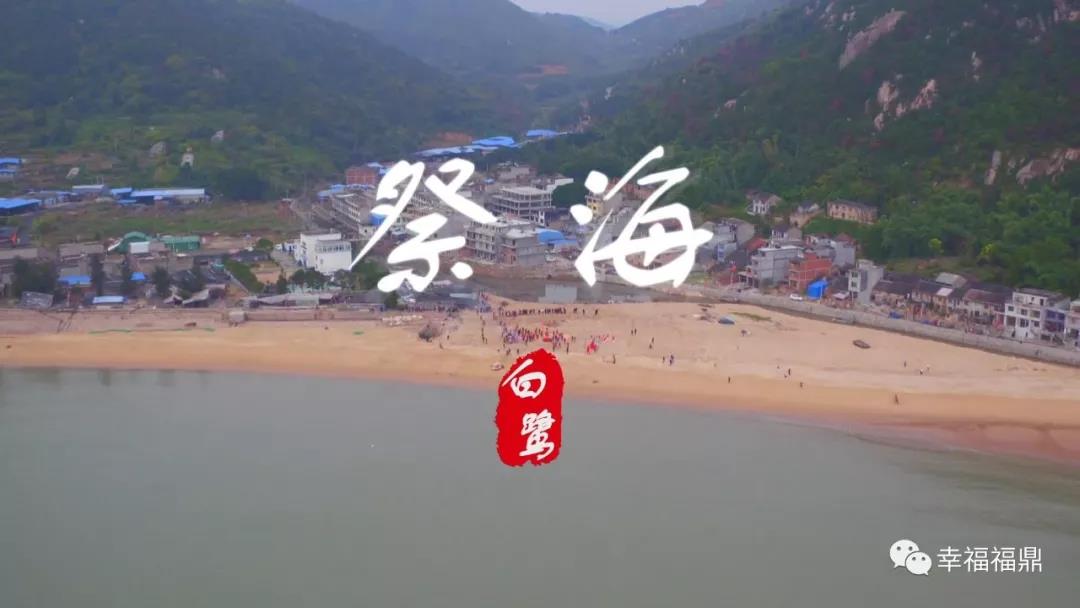 【視野】一個(gè)叫白鷺的地方，他們是這樣和海對話的……