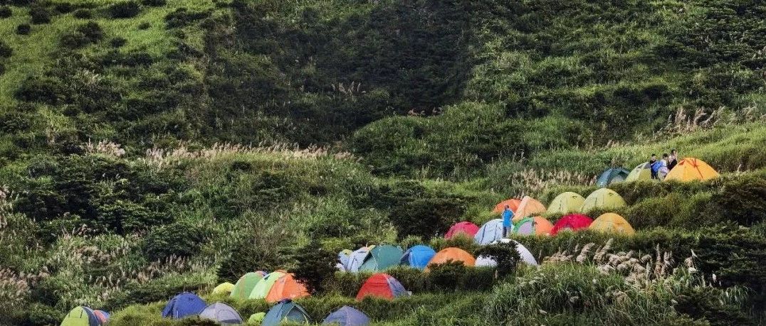 從現在開始，請叫我“福建省森林城市”!