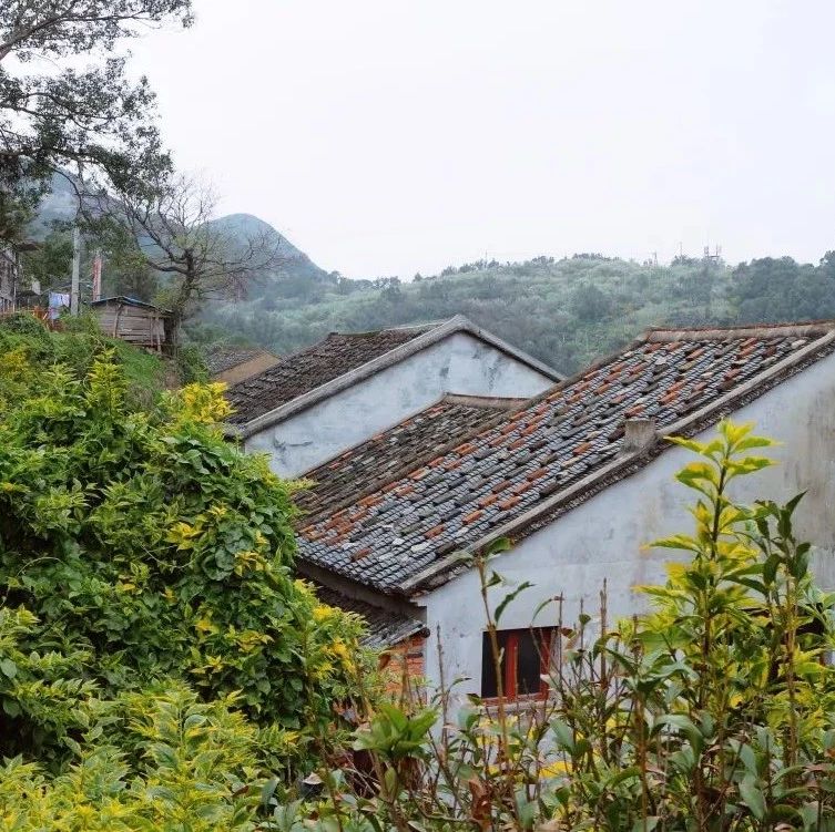 在清華建筑學子的眼中，崳山島是什么樣的呢？