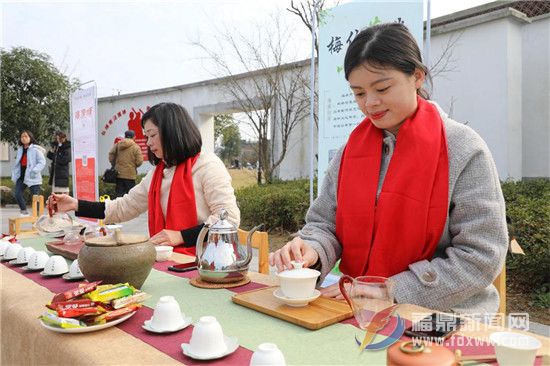 點頭鎮2019“白茶小鎮、魅力點頭” 攝影大賽啟動