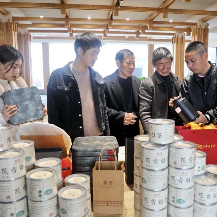 茶企新春早開工，福鼎茶市迎來“開門紅”！