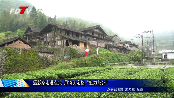 攝影家走進點頭 用鏡頭定格“魅力茶鄉”