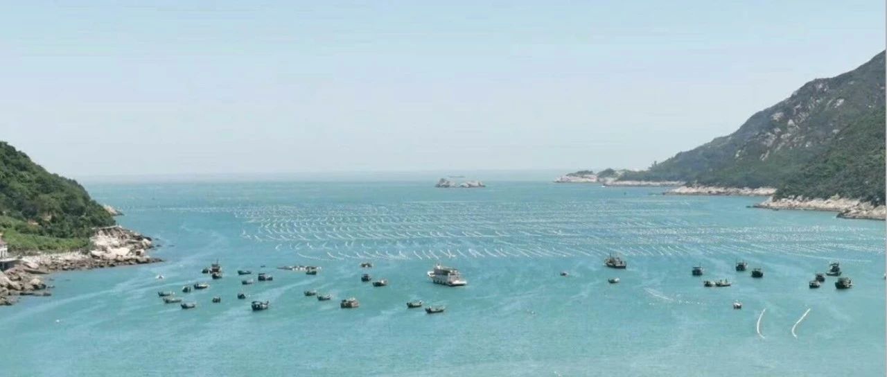 寫好 “旅游+”文章，福鼎激活全域山水！