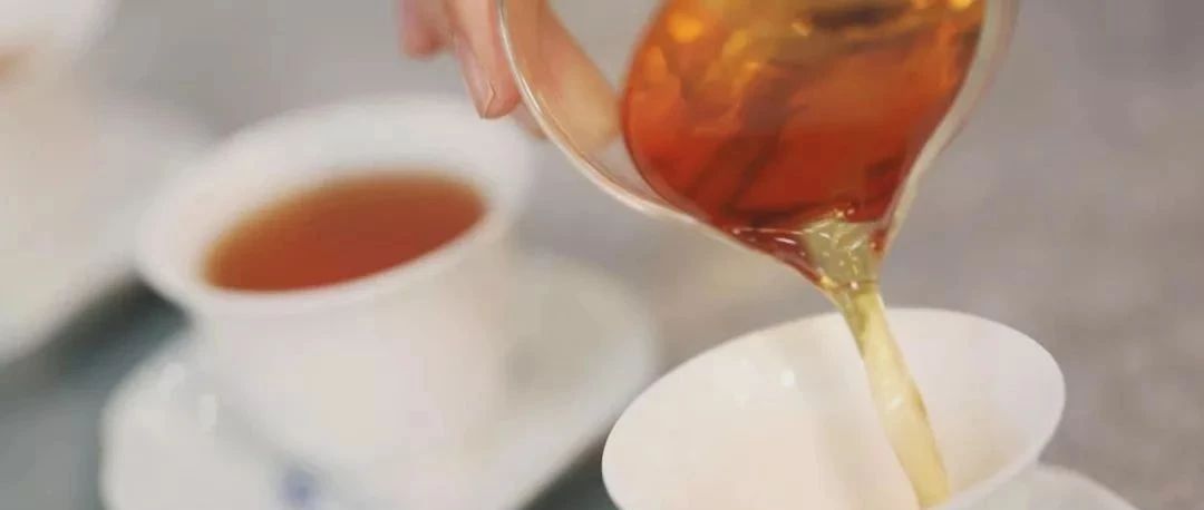漲知識！不會正確沖泡方式，你買的白茶就要浪費了！