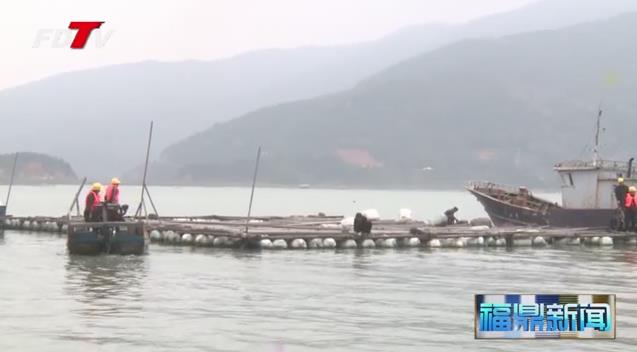 全市海上養殖綜合整治視頻推進會召開
