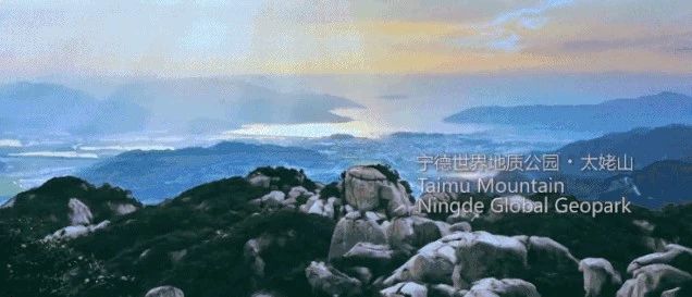 外交部福建全球推介活動上，最讓福鼎人自豪的畫面有……
