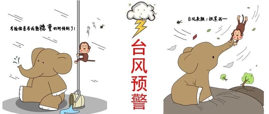 “利奇馬”加強為超強臺風，福鼎提升防臺風應急響應為Ⅲ級！