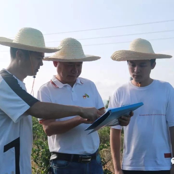 硤門：保持高壓態勢，建立長效機制，保護青山綠水