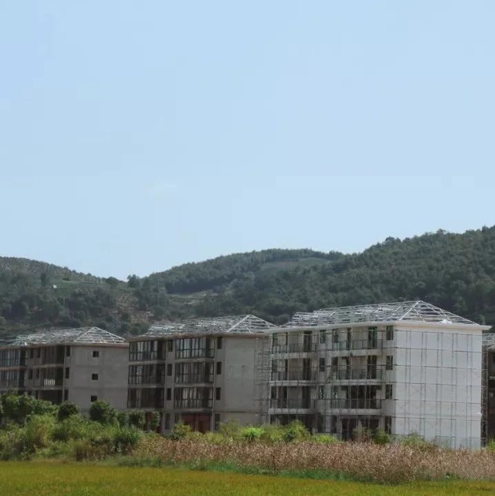 環境整治持續發力，讓高鐵高速沿線“靚”起來
