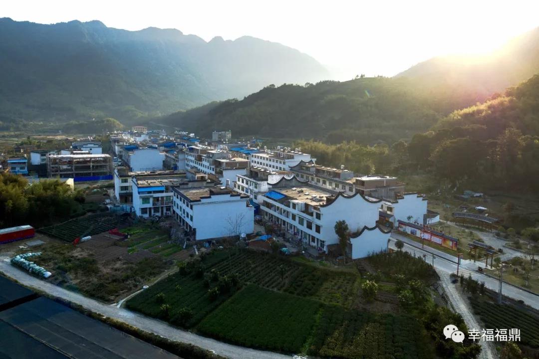 福鼎這5個村被國家點名了！高顏值，最適合出游打卡