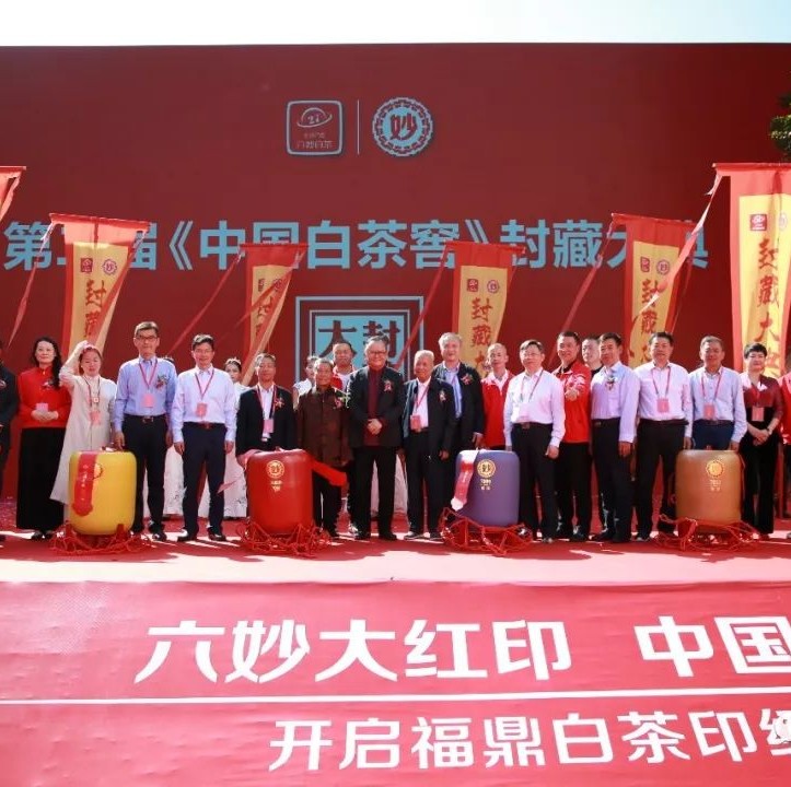 大咖云集真熱鬧！點頭今天發生了啥事？