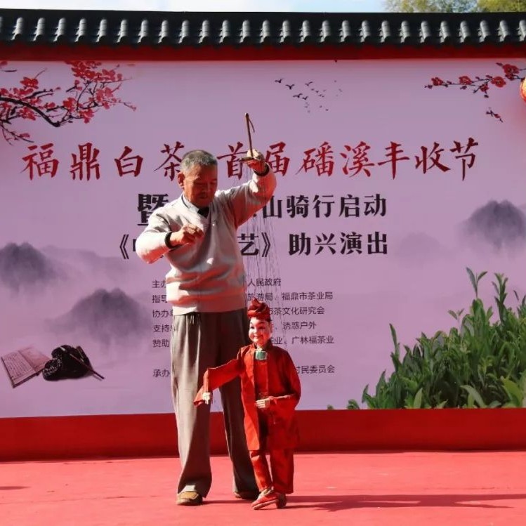 你見(jiàn)過(guò)福鼎白茶開(kāi)茶節(jié)，那見(jiàn)過(guò)白茶豐收節(jié)嗎？