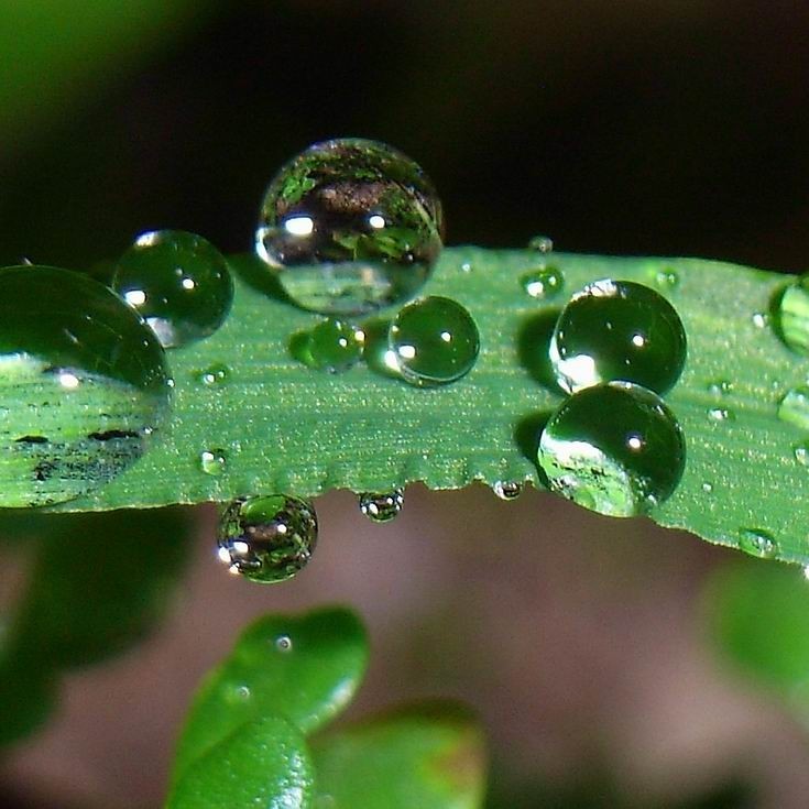 剛剛發布！未來三天！繼續人工增雨！