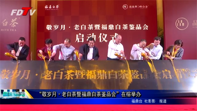 “敬歲月·老白茶暨福鼎白茶鑒品會”在榕舉辦