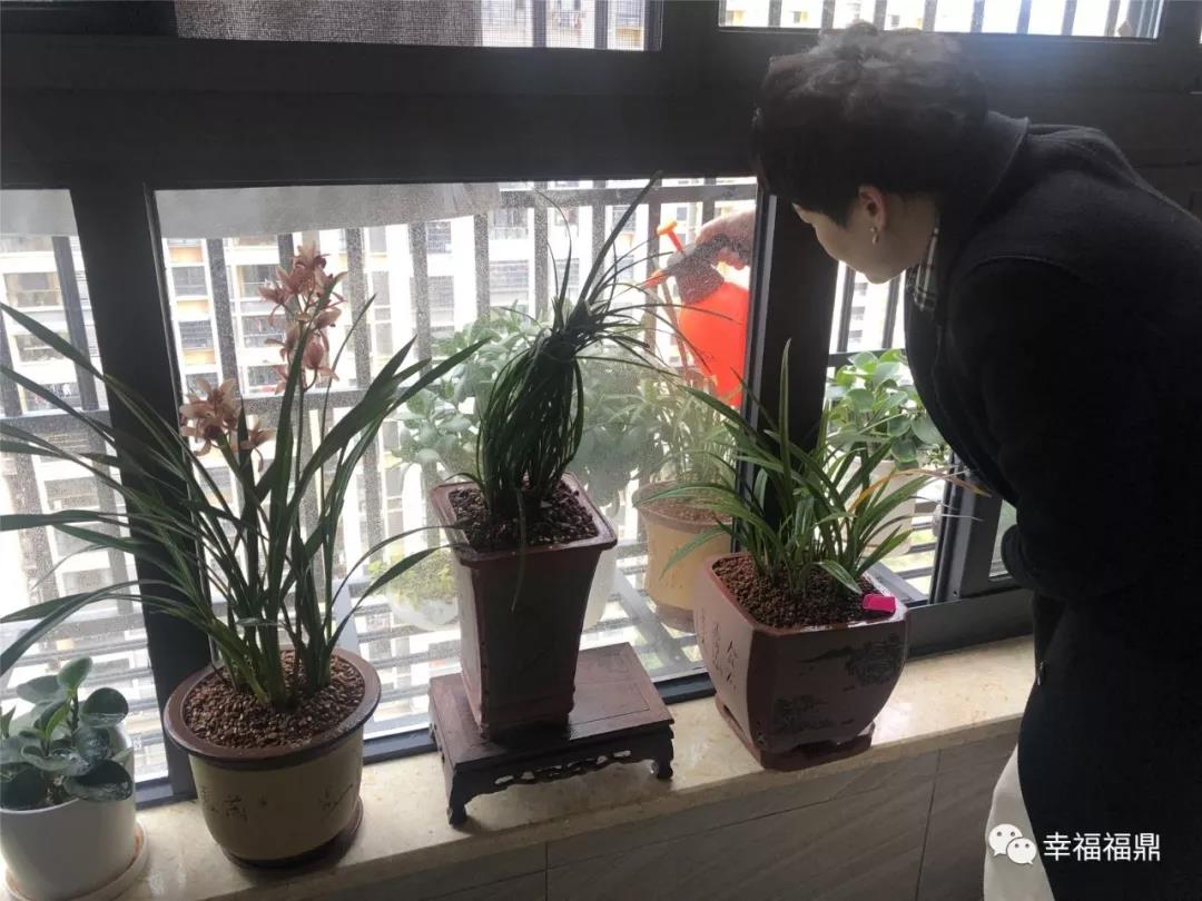 宅家無聊嗎？不！愛生活的福鼎人在家這樣過……