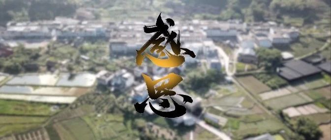 感恩回報！“中國扶貧第一村”赤溪村干群為前線醫護人員獻愛心