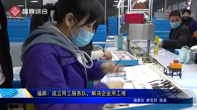 福鼎：成立用工服務隊，解決企業用工難