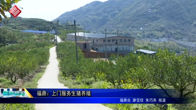 福鼎：上門服務生豬養殖