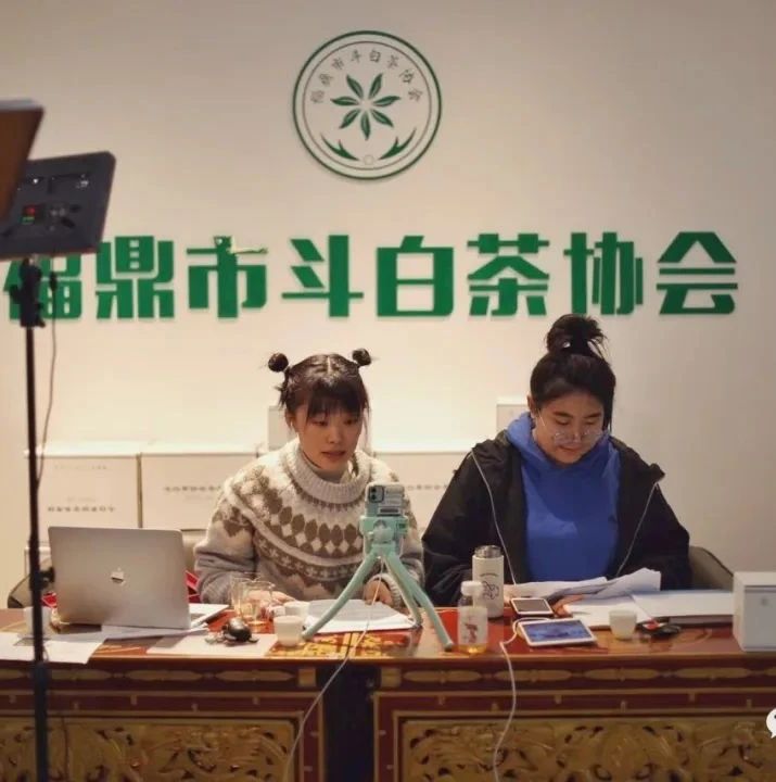 這個95后主播真特別，線上24小時直播推介福鼎白茶