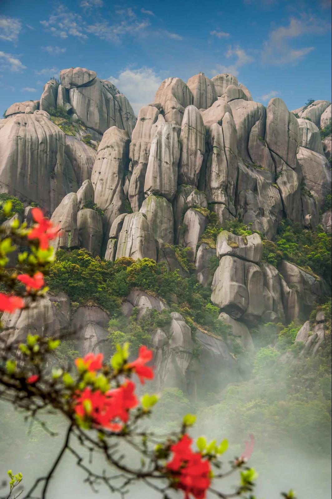 太姥山、崳山、赤溪景區(qū)3月21日起恢復(fù)開園，全國游客享受門票半價！