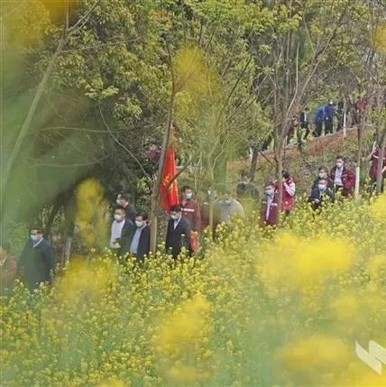 閩宜友誼林，紀念戰疫情！