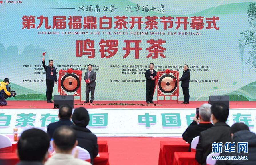 福鼎舉辦第九屆白茶開茶節