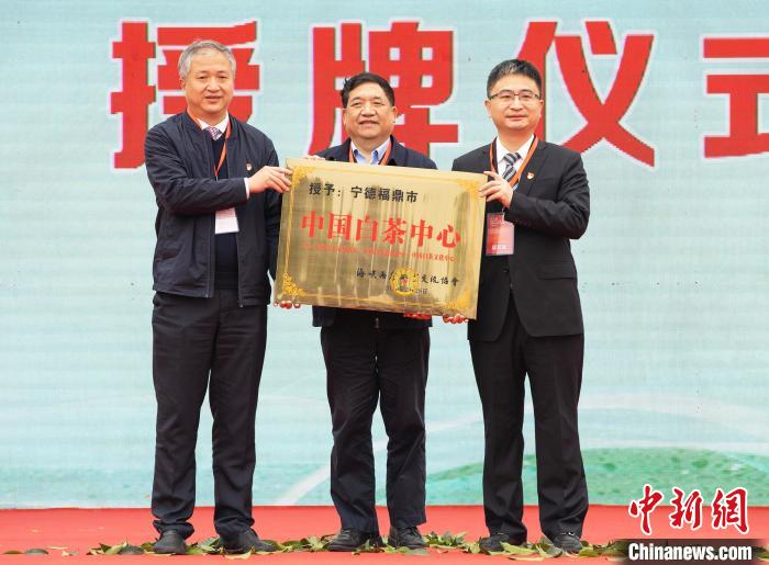 “中國白茶之鄉”福建福鼎舉辦開茶節 助力茶農增收致富