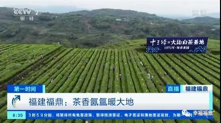 茶香氤氳暖大地！央視財經頻道《第一時間》連線磻溪