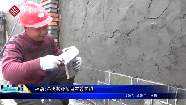 福鼎:各類茶業(yè)項(xiàng)目有效實(shí)施