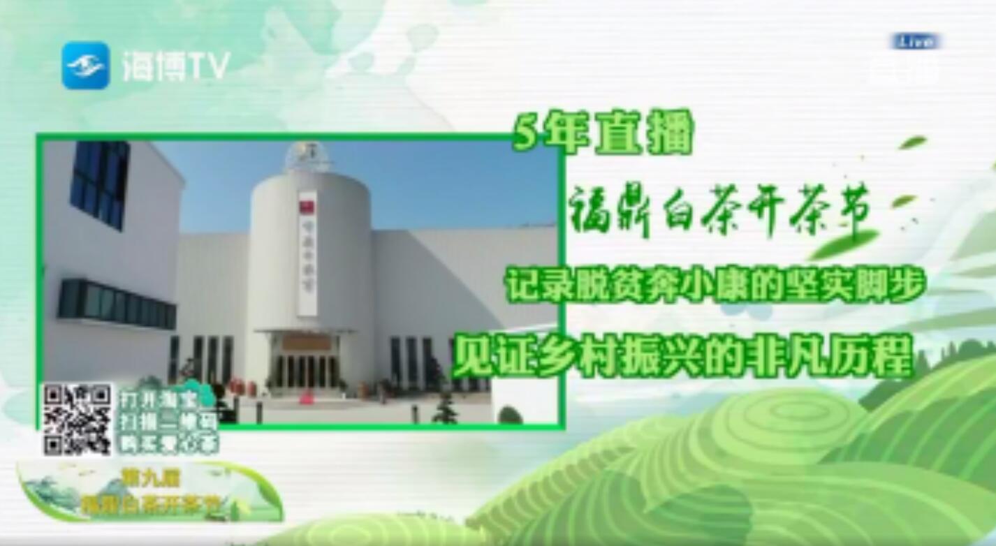 第九屆福鼎白茶開茶節：五年直播 記錄全面小康的堅實腳步