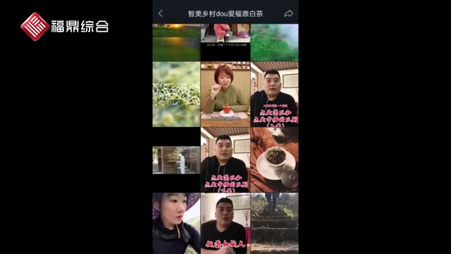 【抖音、短視頻】《dou愛(ài)福鼎白茶》