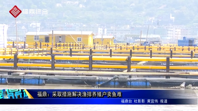 福鼎：采取措施解決漁排養殖戶賣魚難