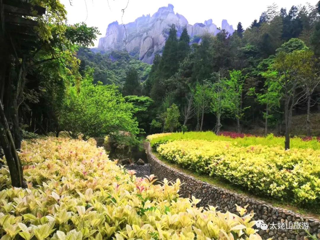 追逐畫中生靈，觀太姥山之美